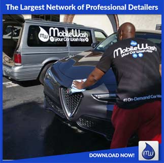 largest network professional detailers